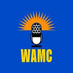 90.3 WAMC 2 - WAMC-HD2 radio logo