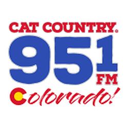 Cat Country 95.1 radio logo