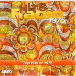 113.FM Hits - 1975 logo