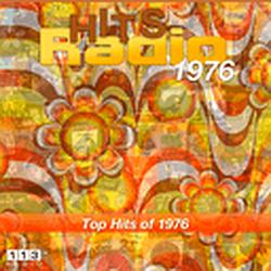 113.FM Hits - 1976 logo