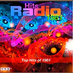 113.FM Hits 1990 logo