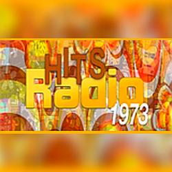 113.FM Hits - 1973 logo