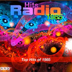 113.FM Hits 1985 logo