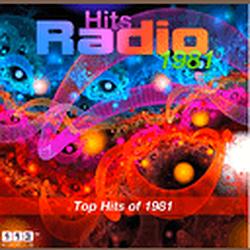 113.FM Hits 1991 logo