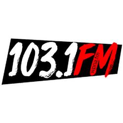 Polskie Radio WPNA 103.1 FM logo
