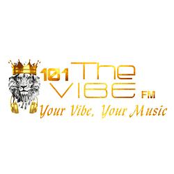 101TheVibeFM radio logo
