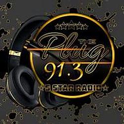 91.3 The Plug Radio logo