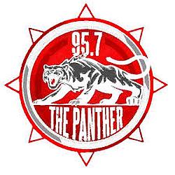 WPNT-DB / Panther 95.7 radio logo