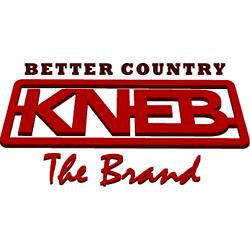 94.1 The Brand radio logo